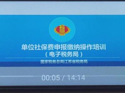 昌吉市2024年社保申报流程及税务服务指南